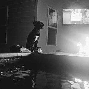 Meet your Posher, Greg